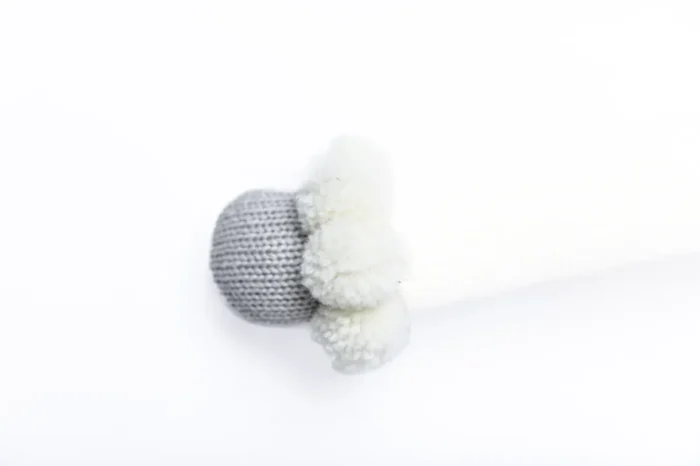 Dr Poodles <span>the very clever poodle</span> - Image 6