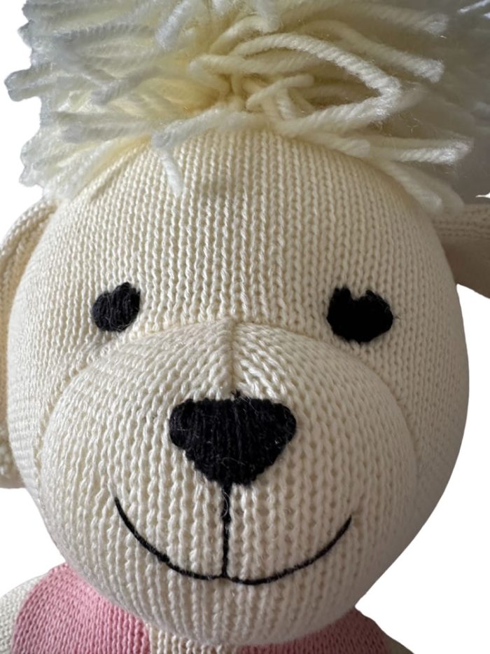 Dr Poodles <span>the very clever poodle</span> - Image 4