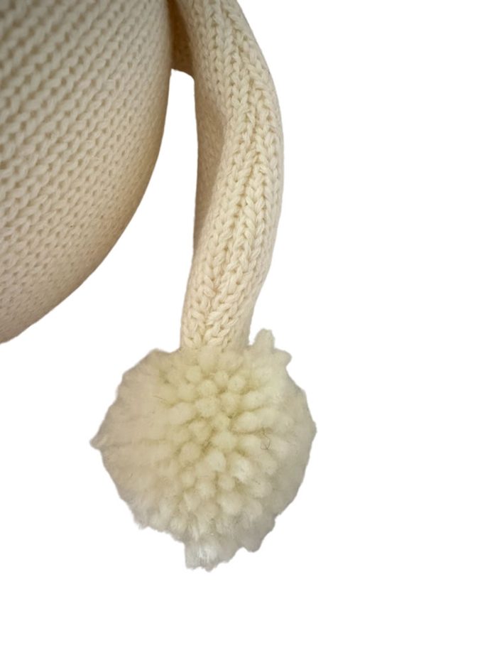 Dr Poodles <span>the very clever poodle</span> - Image 6