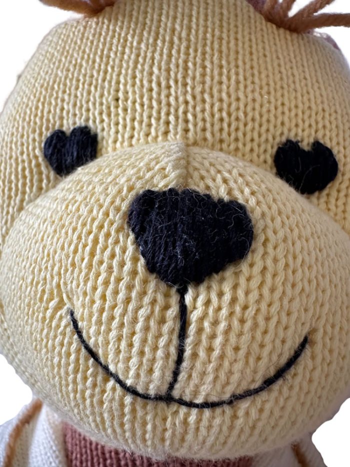 Finn <span>the crazy Yorkshire Terrier</span> - Image 3